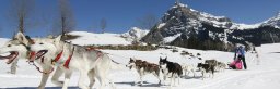 Kandersteg 2011